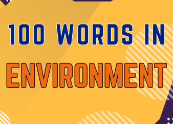 100 Từ Vựng Environment: Những thuật ngữ Tiếng Anh cần biết cho ngành Môi trường